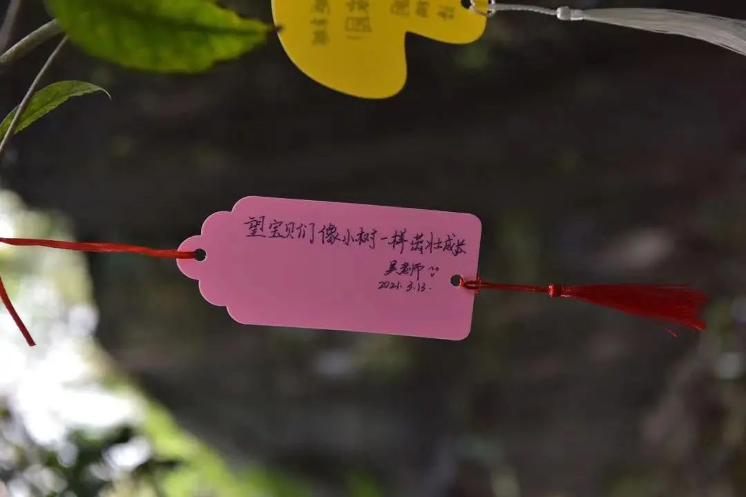 微信图片_20210315100614.jpg